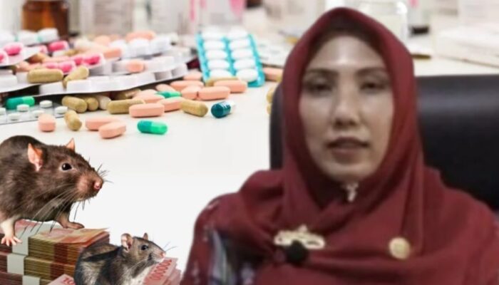 BREAKING NEWS: DUGAAN KORUPSI ANGGARAN BELANJA OBAT-OBATAN RSUD AYANI METRO RP 22,6 M