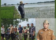 Gerak Cepat Dinas KPTPH dan Perkebunan Lamtim Peninjauan Lahan Sawah Terdampak Banjir