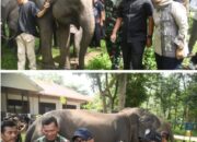 Ketua DPRD Lampung: Atensi Presiden Jadikan Way Kambas Percontohan Nasional Harus Dikawal Bersama