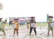 Ketua DPRD Lampung Turun Langsung Tanam Padi di Lampung Timur, Sinergi Forkopimda Perkuat Ketahanan Pangan