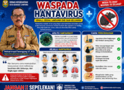 Dinkes Bandar Lampung Tingkatkan Kewaspadaan Hantavirus, Masyarakat Diminta Jaga Kebersihan Lingkungan
