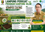 Lampung Perkuat Program Kampung Iklim, Limbah Organik Diolah Menjadi Kompos Cacing di Tanggamus