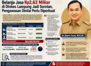 Belanja Jasa Rp2,62 Miliar di Dinkes Lampung Jadi Sorotan, Pengawasan Dinilai Perlu Diperkuat